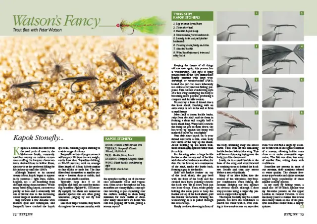 Kapok Stonefly magazine preview