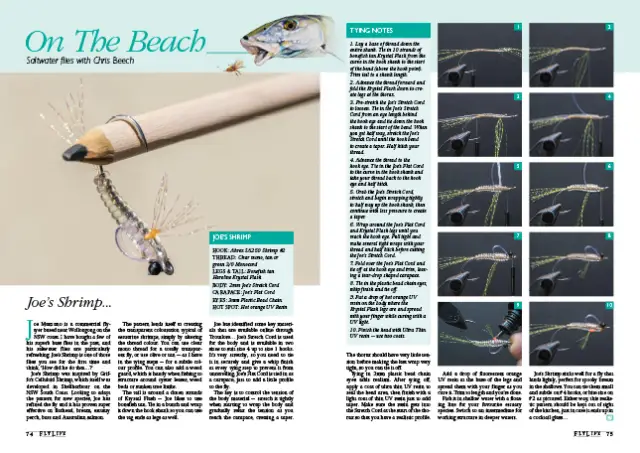 Joe’s Shrimp magazine preview
