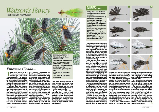 Pinecone Cicada magazine preview