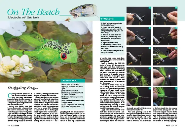 Grappling Frog magazine preview