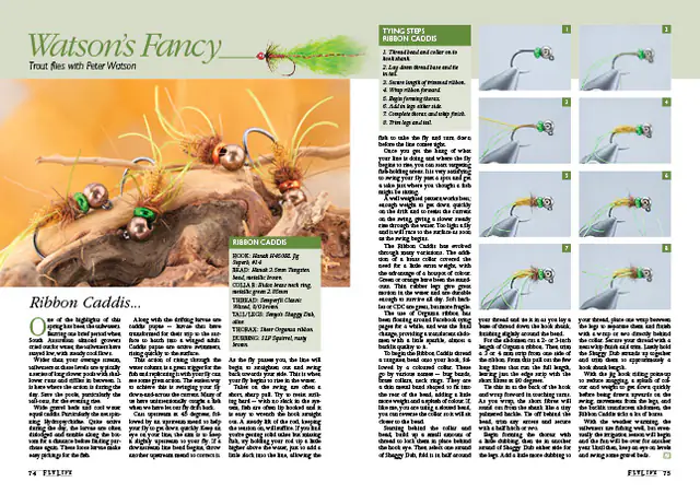Ribbon Caddis magazine preview