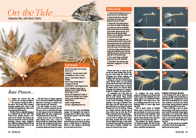Raw Prawn magazine preview
