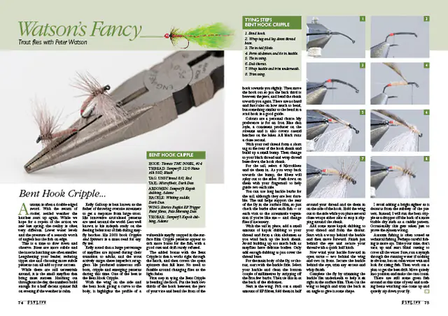 Bent Hook Cripple magazine preview